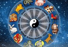 Восточный гороскоп на 2023 год: что принесёт нам покровитель года Кролик Восточный гороскоп, Кролик