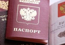 Российское гражданство в 2022 году получили более 691 тысячи иностранцев Российское гражданство, иностранцы