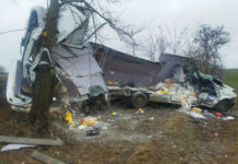 Грузовой микроавтобус Mercedes вылетел в кювет ДТП, грузовик Mersedes, кювет