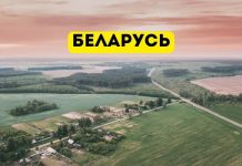 В Беларуси узаконили пиратство — иностранные фильмы, софт и музыку теперь можно импортировать без согласия правообладателя беларусь