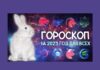 Год Водяного Кролика: что ждёт каждый из знаков Зодиака в 2023 году год Водяного Кролика, гороскоп, знаки Зодиака
