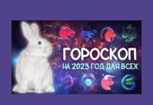 Год Водяного Кролика: что ждёт каждый из знаков Зодиака в 2023 году год Водяного Кролика, гороскоп, знаки Зодиака