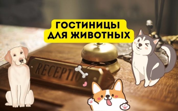 Гостиницы для животных Гостиницы для животных