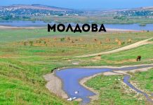 В Молдове будут платить пособие молодым специалистам Молдова