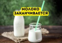 За последние 10 лет производство молока в Молдова сократилось на 38% Молоко заканчивается