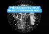 В мире создан искусственный мозг который ведёт себя как настоящий Учёные вырастили искусственный мозг