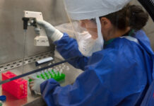 ВОЗ предупредила об ухудшении ситуации с распространением холеры в мире ВОЗ, пандемия, холера