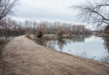 Днестр в пределах русла уровень воды, Днестр