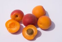 В Молдове появился риск потери почек на плантациях абрикоса абрикос