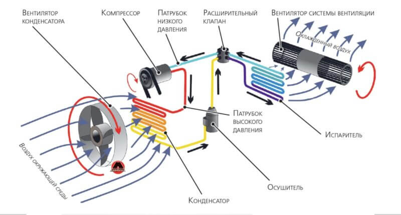 Источник фото httpsis.gdmQRZ3k