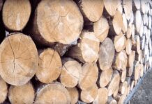 Лесопильное производство в Приднестровье расширяют Лесопильное производство в Приднестровье