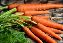 В Молдове увеличат посев моркови 🥕 морковь