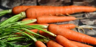 В Молдове увеличат посев моркови 🥕 морковь