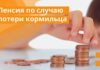 Оформить пенсию по случаю потери кормильца будет проще пенсия по случаю потери кормильца