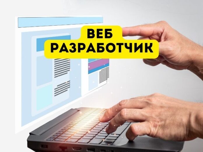 веб разработчик веб разработчик