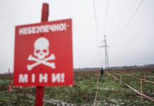 В Украине началось гуманитарное разминирование сельхозземель гуманитарное разминирование, Украина, сельхозземель