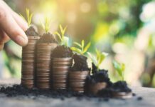 Порядок кредитования сельхозпроизводителей в Приднестровье изменён кредитование, сельхозпроизводителей