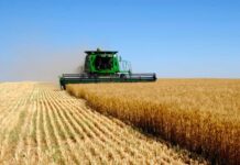 Правительство утвердило положение о порядке ведения государственного земельного кадастра земельный кадастр, земля, сельское хозяйство