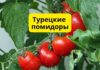 Турецкие помидоры возвращаются на рынок РФ Турецкие помидоры