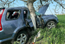ДТП на трассе Чобручи – Глиное: «Хонда» врезалась в дерево ДТП на трассе "Чобручи-Глиное"