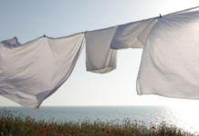 От чего зависит запах высушенного белья запах белья