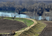 Уровень воды в Днестре входит в норму уровень воды Днестр гидрологи риска