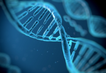 Закон для биобанков в Молдове закон биобанков