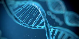 Родился ребёнок с ДНК трех человек закон биобанков