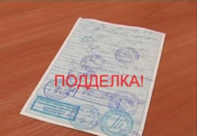 За подделку документов наказание станет мягче документы, прокурор