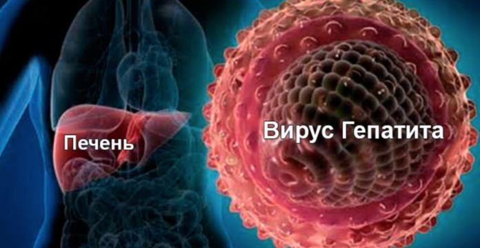 гепатитами