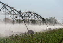 Приднестровье готово к поливному сезону орошение