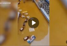 В Тирасполе покупатель разгромил в супермаркете стойку с элитным алкоголем озеро из коньяка