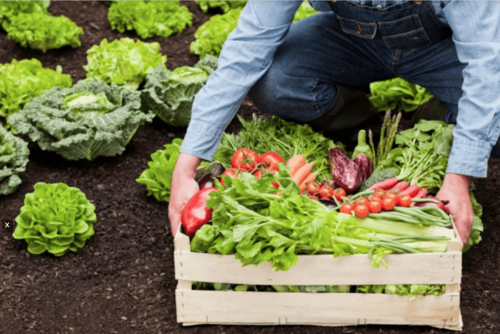 сельскохозяйственной продукции закупки в Приднестровье сотрудники