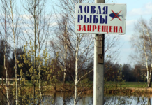 Запрет ловли рыбы в Приднестровье: важная информация для рыболовов Приднестровье, запрет, рыбалки