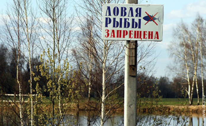 Приднестровье, запрет, рыбалки