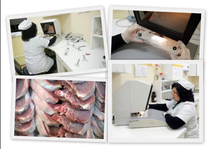 ветеринарно-санитарная экспертиза