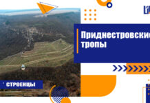 Приднестровские тропы. Строенцы приднестровские тропы, Строенцы