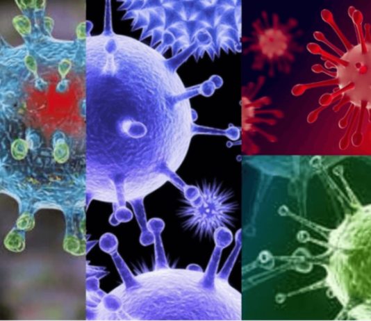 Академик Онищенко назвал возможных виновников следующей пандемии болезнь