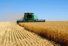 В Приднестровье разработали правила восстановления почвы Приднестровье, Минсельхоз