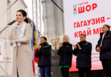 Гагаузия сделала свой выбор Гагаузия, выборы