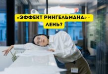 Эффект Рингельмана, что это такое «Эффект Рингельмана» - лень