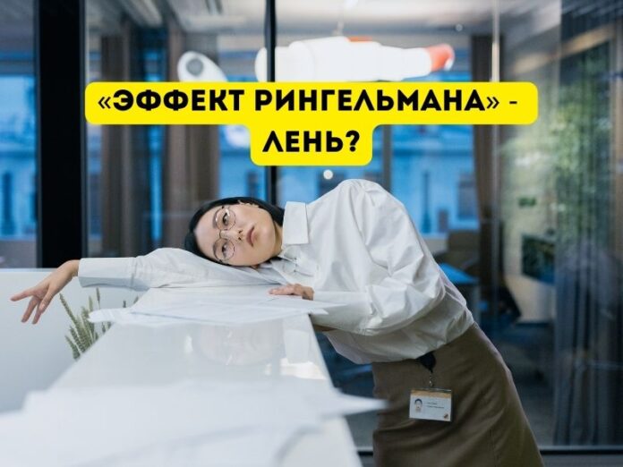 «Эффект Рингельмана» - лень