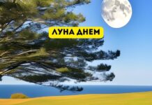 Почему луну не всегда видно днем? Луна днем