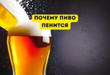 Почему пенится пиво? Почему пиво пенится