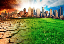 Человечеству угрожает не искусственный интеллект опасность