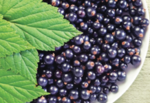 Ягод стали продавать больше чем бананов ягоды