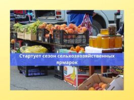 В Рыбнице с 18 июля стартуют ярмарки выходного дня ярмарка, сельхозпроизводители