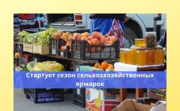 Ярмарка выходного дня в Рыбнице: сезон начинается с 8 июня ярмарка, сельхозпроизводители
