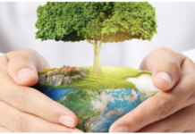 Экоактивисты обсудили озеленение и бродячих животных экология, штрафы, земля, отдых