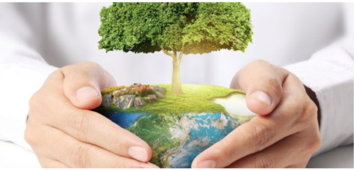 экология, штрафы, земля, отдых